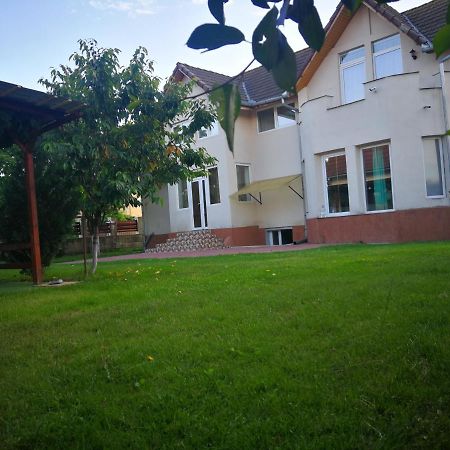 Отель Vila Roy Турда Экстерьер фото