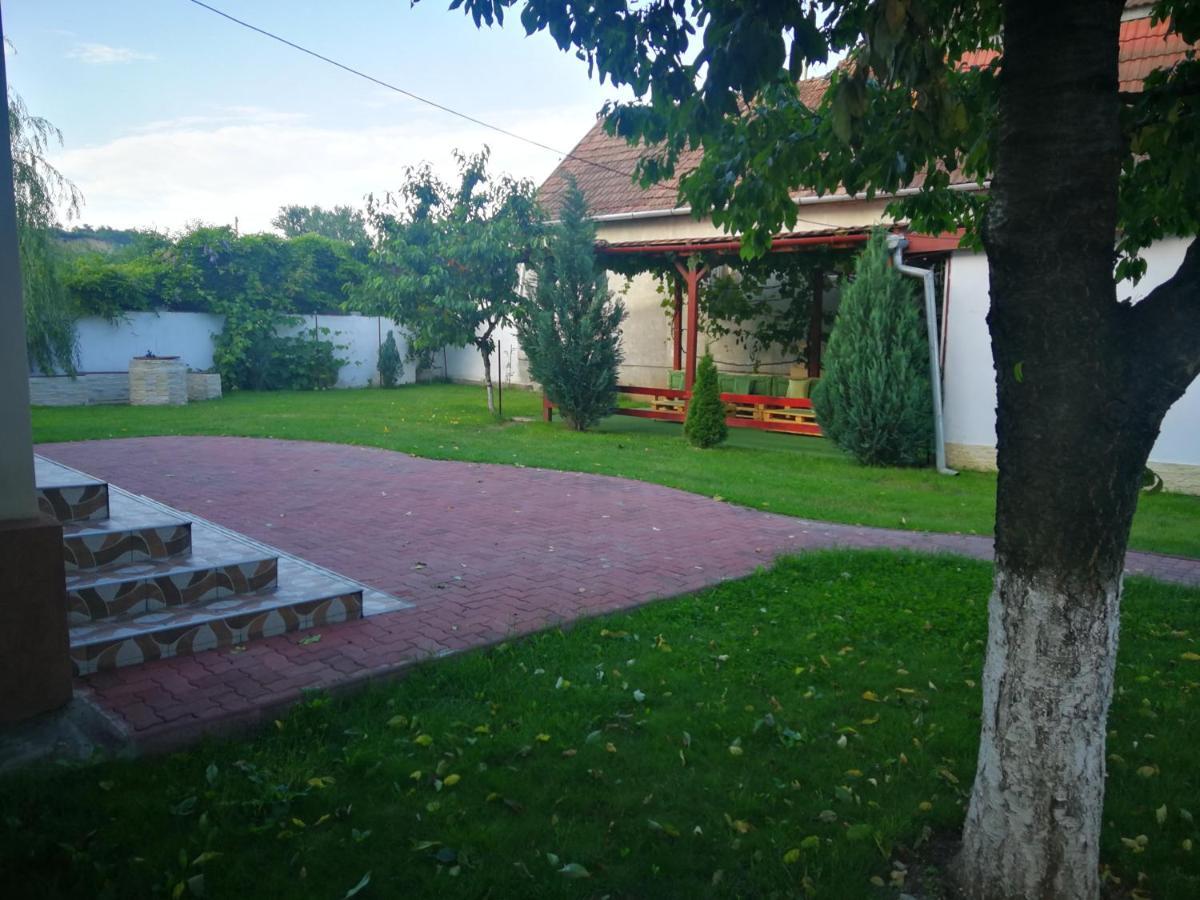 Отель Vila Roy Турда Экстерьер фото